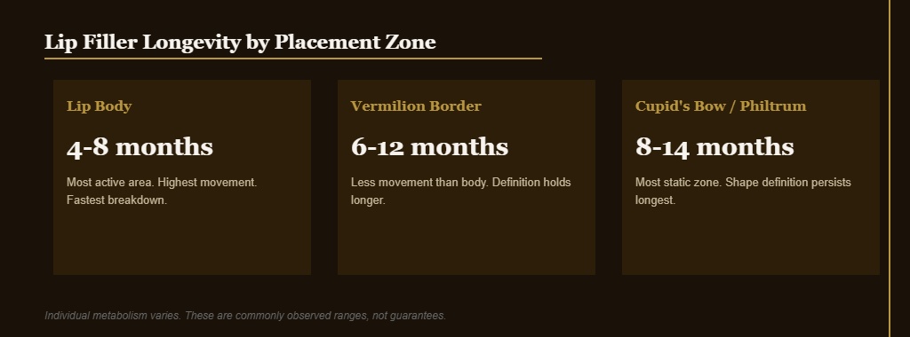 How long does lip filler last chart comparing longevity by placement zone