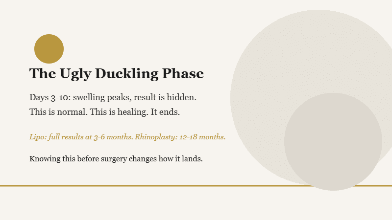 Infographic explaining the ugly duckling phase of cosmetic surgery recovery with timeline expectations on ivory background