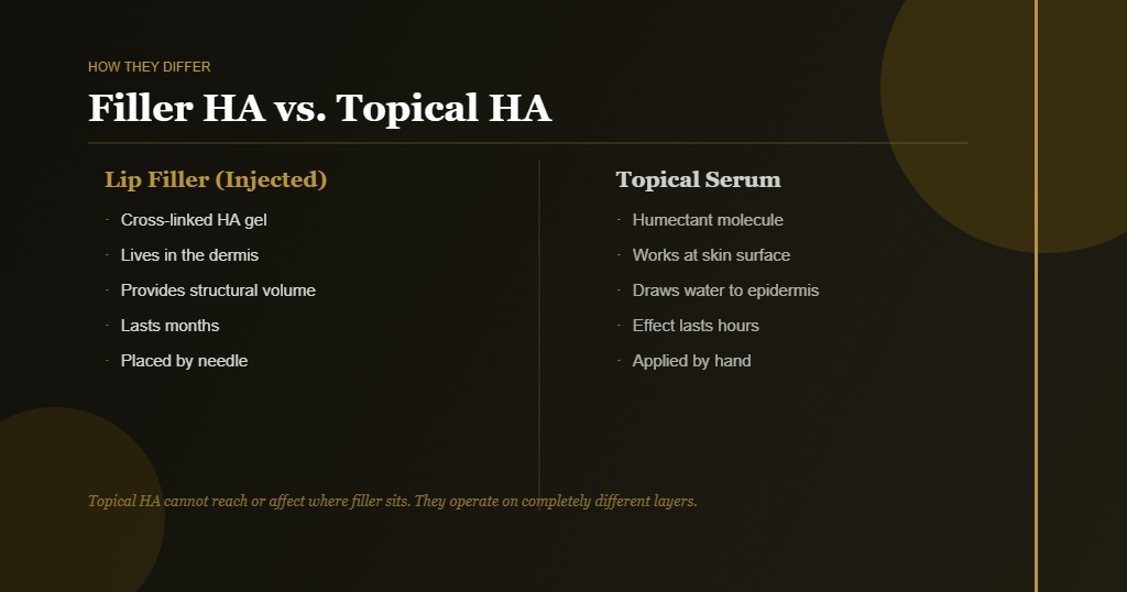 Comparison of injected filler hyaluronic acid versus topical hyaluronic acid serum after lip filler